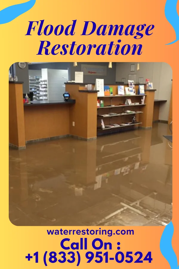 Flood Damage Restoration in Cusseta, AL